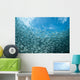 School Sardines Moalboal Philippines Wall Decal