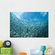 School Sardines Moalboal Philippines Wall Decal