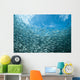 School Sardines Moalboal Philippines Wall Decal