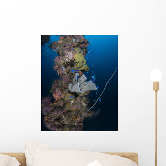 Coral and Sponges Mast Wall Decal