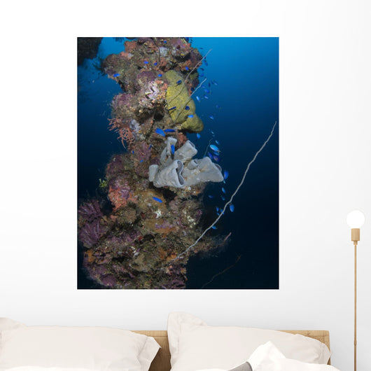 Coral and Sponges Mast Wall Decal