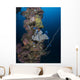 Coral and Sponges Mast Wall Decal