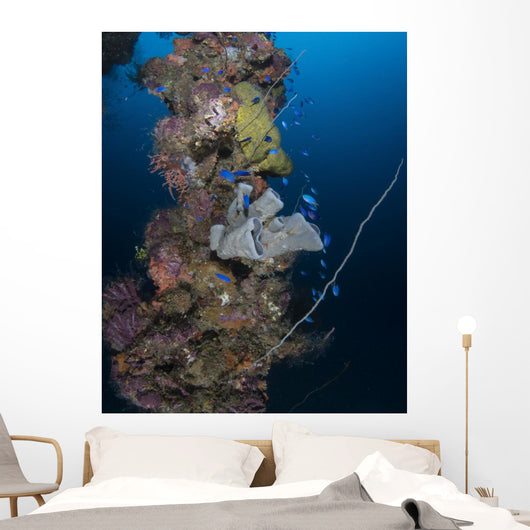 Coral and Sponges Mast Wall Decal