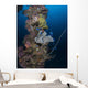 Coral and Sponges Mast Wall Decal