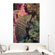 Chocolate Grouper Philippines Wall Decal