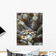 Porcelain Crab Anemone Philippines Wall Decal