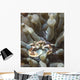 Porcelain Crab Anemone Philippines Wall Decal
