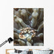 Porcelain Crab Anemone Philippines Wall Decal