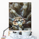 Porcelain Crab Anemone Philippines Wall Decal