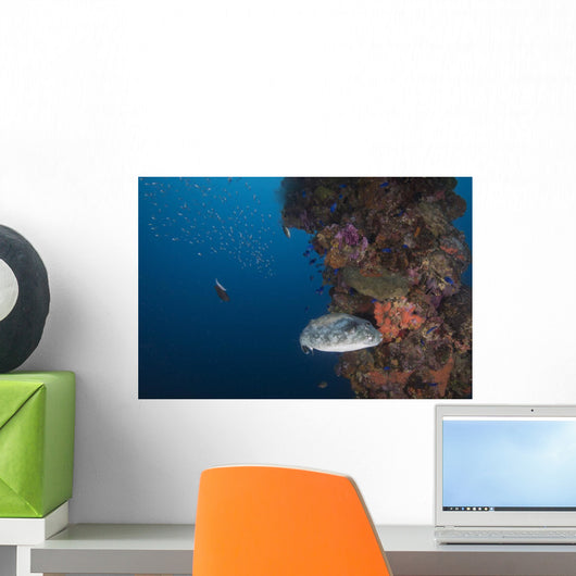 Pufferfish Fujikawa Maru Shipwreck Wall Decal