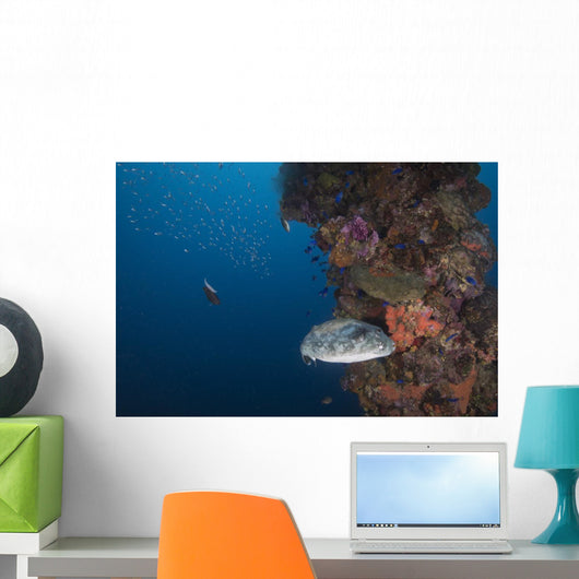 Pufferfish Fujikawa Maru Shipwreck Wall Decal