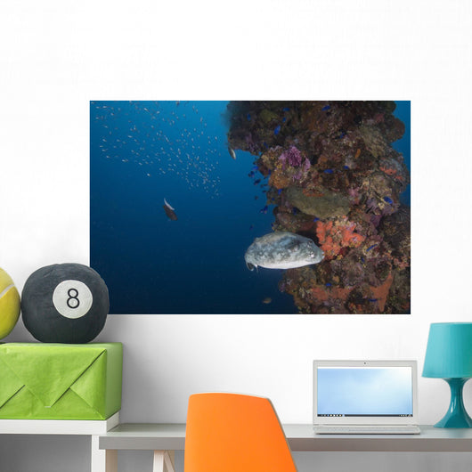 Pufferfish Fujikawa Maru Shipwreck Wall Decal