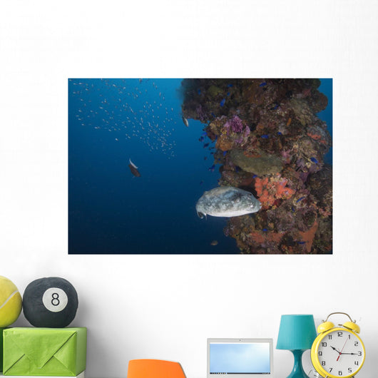 Pufferfish Fujikawa Maru Shipwreck Wall Decal