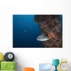 Pufferfish Fujikawa Maru Shipwreck Wall Decal