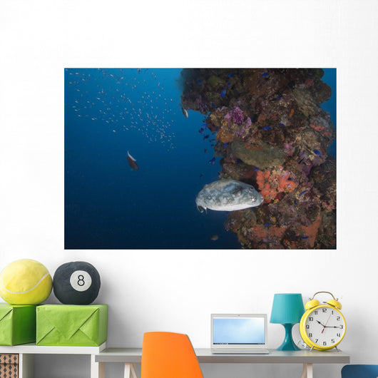Pufferfish Fujikawa Maru Shipwreck Wall Decal