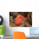 Frogfish Philippines Wall Decal