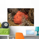 Frogfish Philippines Wall Decal