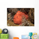 Frogfish Philippines Wall Decal