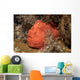 Frogfish Philippines Wall Decal