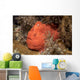 Frogfish Philippines Wall Decal