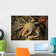 Crab Philippines Wall Decal