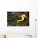 Seahorse Philippines Wall Decal