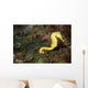 Seahorse Philippines Wall Decal