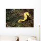 Seahorse Philippines Wall Decal
