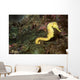 Seahorse Philippines Wall Decal