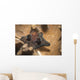 Coriocella Nigra Philippines Wall Decal