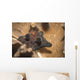 Coriocella Nigra Philippines Wall Decal