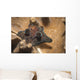 Coriocella Nigra Philippines Wall Decal