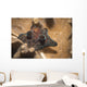 Coriocella Nigra Philippines Wall Decal