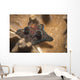 Coriocella Nigra Philippines Wall Decal