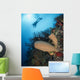 Diver with Sponge Reef Wall Decal