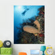 Diver with Sponge Reef Wall Decal