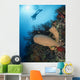 Diver with Sponge Reef Wall Decal