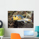 Blackspotted Pufferfish Philippines Wall Decal
