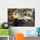 Blackspotted Pufferfish Philippines Wall Decal
