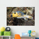 Blackspotted Pufferfish Philippines Wall Decal