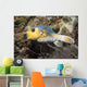 Blackspotted Pufferfish Philippines Wall Decal