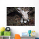 Frogfish Philippines Front View Wall Decal