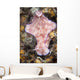 Ceratosoma Trilobatum Nudibranch Wall Decal