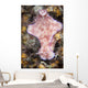 Ceratosoma Trilobatum Nudibranch Wall Decal