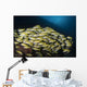 School Bluestripe Snapper Maldives Wall Decal