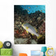 Sweetlips Maldives Wall Decal
