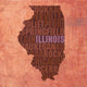 Illinois State Words Wall Mural