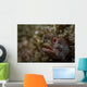 Yellowfin Fringhead Blenny Guards Wall Decal