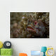 Yellowfin Fringhead Blenny Guards Wall Decal