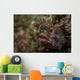 Yellowfin Fringhead Blenny Guards Wall Decal